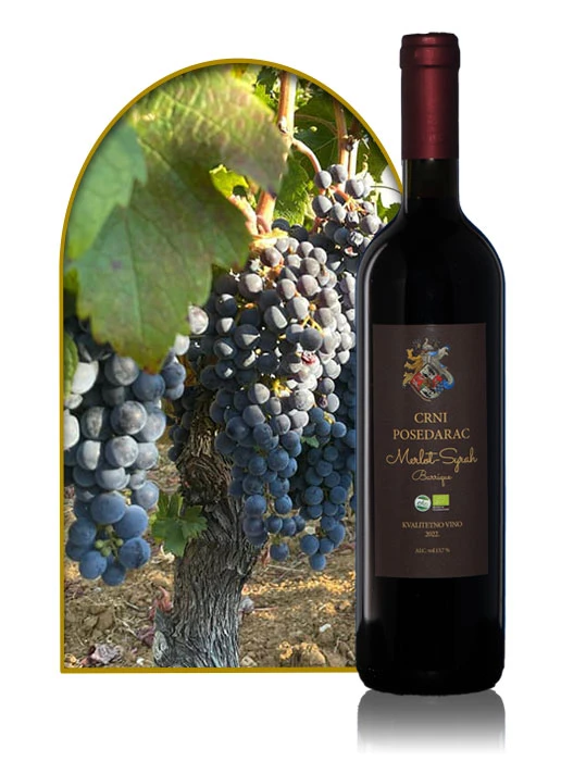 Crni Posedarac, Merlot-Syrah Barrique