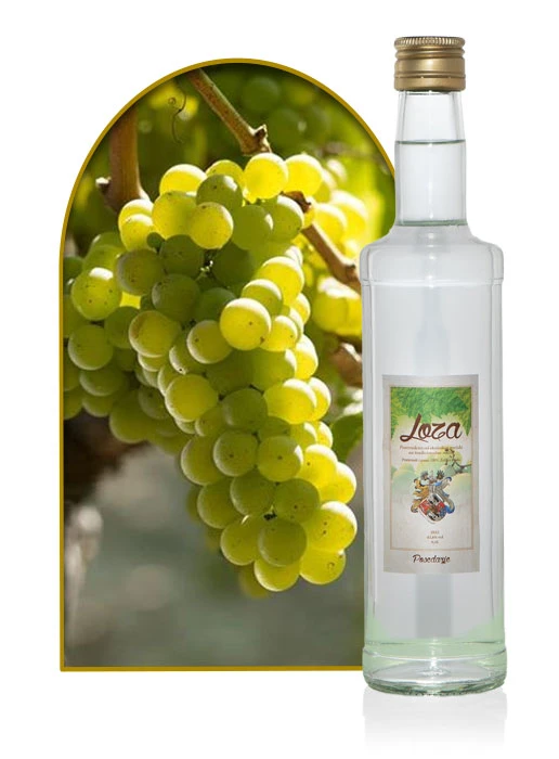 Rakija Loza