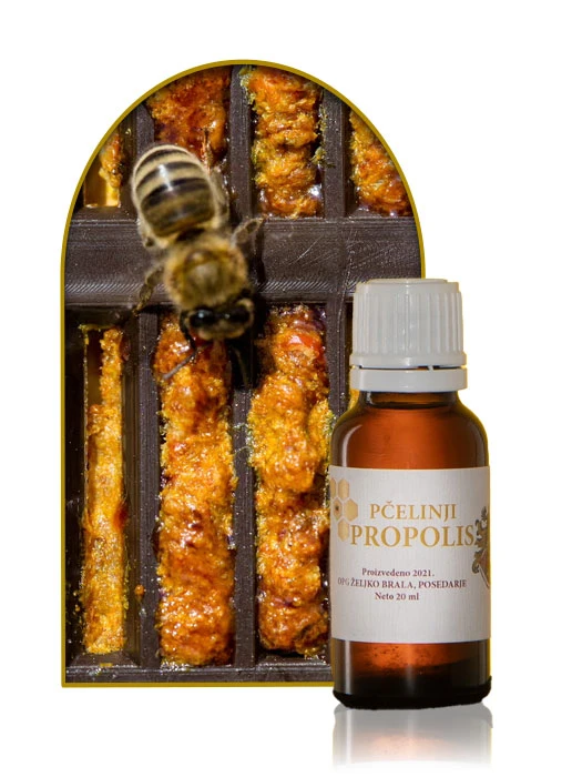 Pčelinji propolis